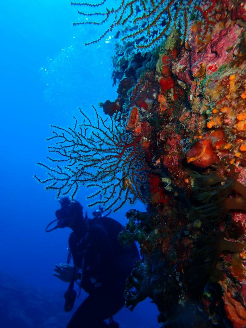 Qing Feng Diving B&B Lyudao Luaran gambar