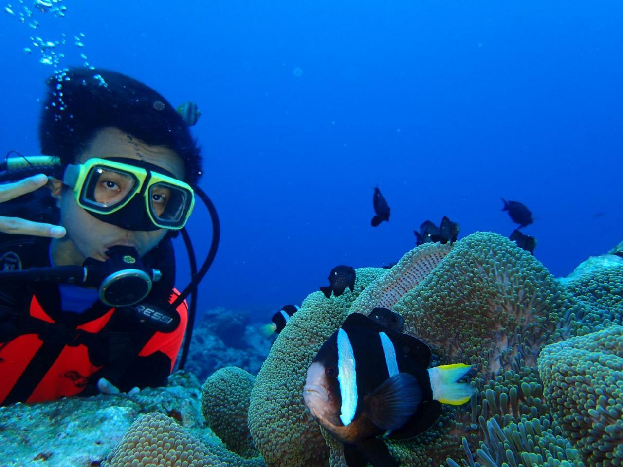 Qing Feng Diving B&B Lyudao Luaran gambar