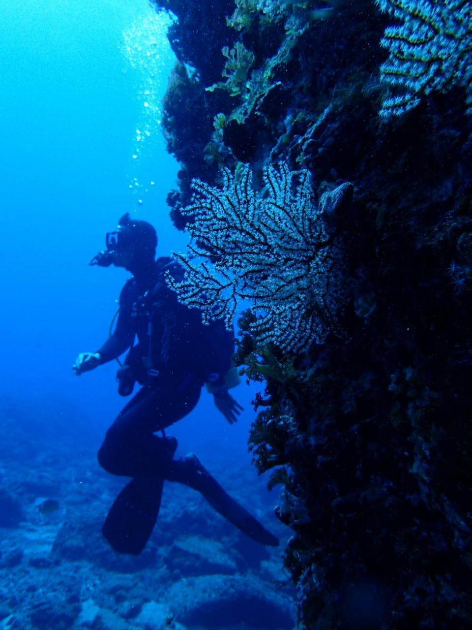 Qing Feng Diving B&B Lyudao Luaran gambar